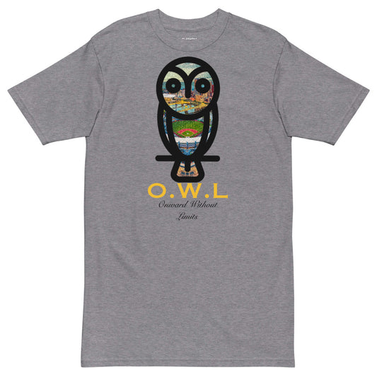Pittsburgh Owl