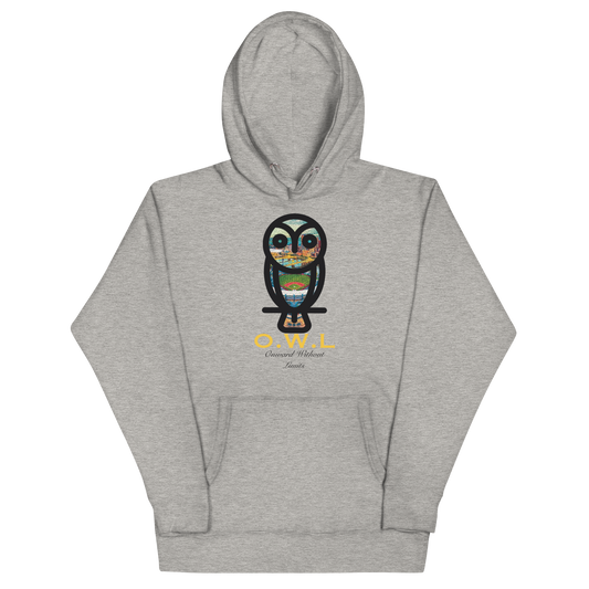 Pittsburgh Owl Pullover Hoodie